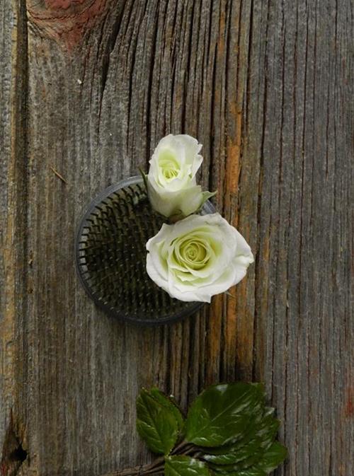 VIVIANE  WHITE SPRAY ROSES